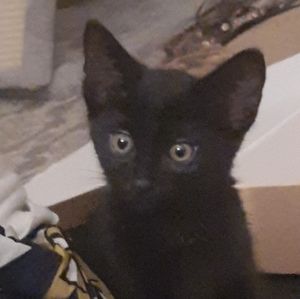 Meet your Posher, April